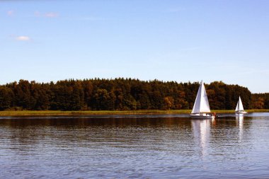 Yelkenli göl üzerinde yüzer ve mavi gökyüzü yelken açar