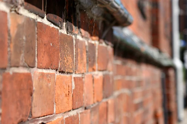 brick wall of a brick building with green gutter