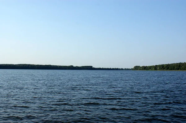 森林在湖面上 湖面上 在地平线上 绿树成荫 — 图库照片