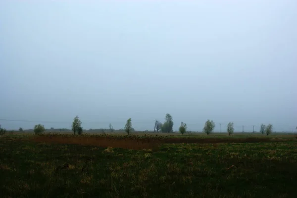 Nebbioso Paesaggio Cupo Cielo Nuvoloso Campo Alberi Lontananza — Foto Stock