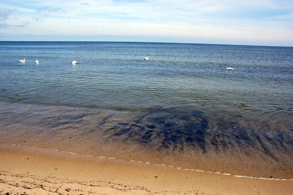 Mar Baltico Polacco Bellissimo Mare Blu Onde Oceano Orizzonte Sabbia — Foto Stock