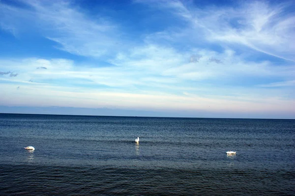 폴란드 아름다운 수평선의 모래사장 과푸른 하늘흰 바다를 누비고 다닌다 — 스톡 사진