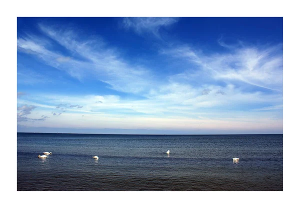폴란드 아름다운 수평선의 모래사장 과푸른 하늘흰 바다를 누비고 다닌다 — 스톡 사진