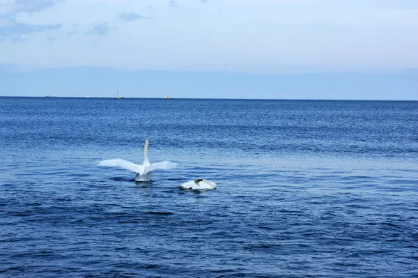 Polski Bałtyk Piękne Błękitne Fale Morskie Ocean Horyzont Piasek Plaża — Zdjęcie stockowe