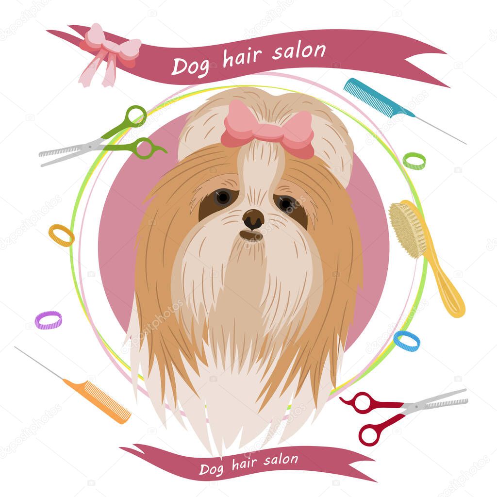 Cute dog at groomer salon. Pet grooming concept. Vector illustration for pet hair salon, styling and grooming shop, pet store for dogs and cats. Yorkshire terrier illustration. Animals banner.