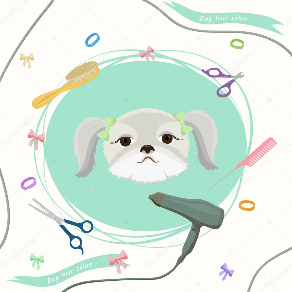 Cute dog at groomer salon. Pet grooming concept. Vector illustration for pet hair salon, styling and grooming shop, pet store for dogs and cats. Shih Tzu Dog Illustration. Animals banner.