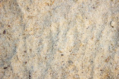 Arka plan olarak talaş dokusuna yakın çekim