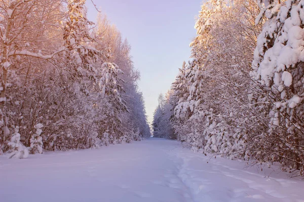 Χειμερινό τοπίο, χιονισμένο δρόμο μονοπάτι. Ψυχρός λαμπρό ηλιόλουστη μέρα — Φωτογραφία Αρχείου