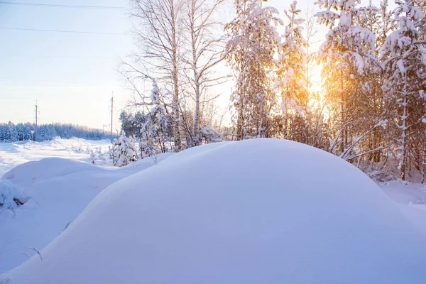 Zăpada Pluteşte Pădure Peisaj Iarnă — Fotografie, imagine de stoc