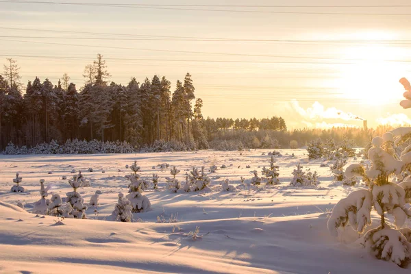 Nieve Desliza Contra Sol Brillante Paisaje Invierno — Foto de Stock