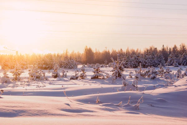 La nieve se desliza contra el sol brillante. Paisaje invierno . — Foto de Stock