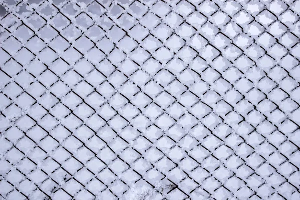 Plasă Metalică Acoperită Cristale Zăpadă Gheață — Fotografie, imagine de stoc