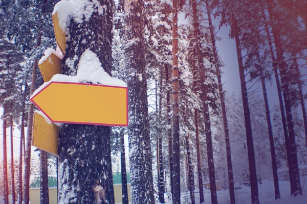 Leeres Schild Baum Genagelt Winterhintergrund Jahrgang — kostenloses Stockfoto
