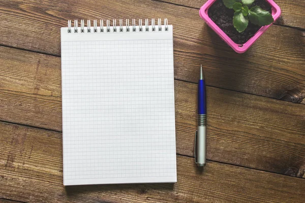 Notepad Pena Dan Tanaman Atas Meja Kayu Gelap — Stok Foto
