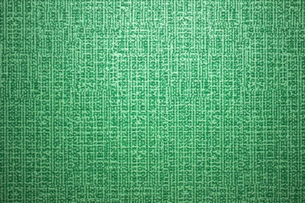 Verde Com Listras Brancas Fundo Abstrato — Fotografia de Stock