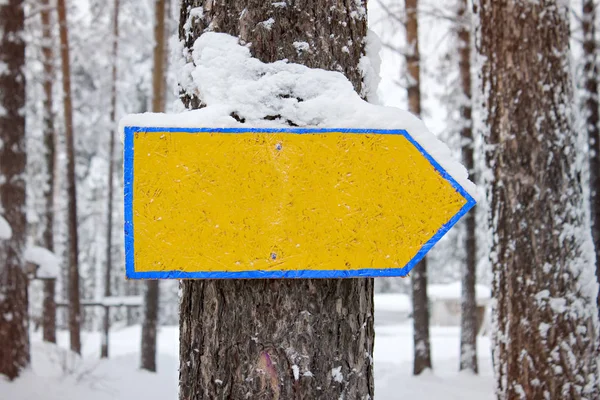 Empty pointer sign, nailed to a tree, winter background