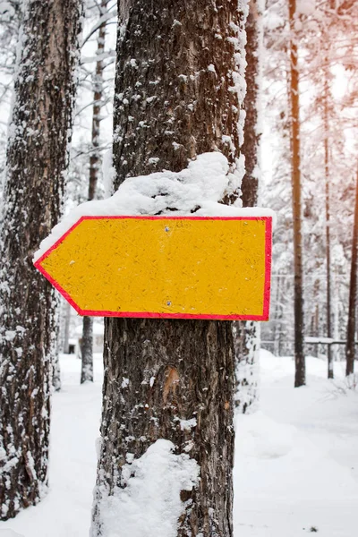 Pointeur Vide Jaune Attaché Arbre — Photo gratuite