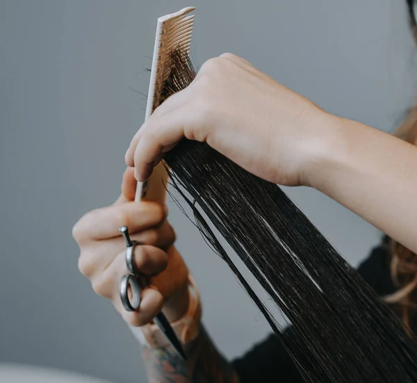 Womens haircut at home. Hairdresser cuts a girl at home.