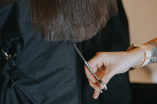 Womens haircut at home. Hairdresser cuts a girl at home. — Stock Photo, Image