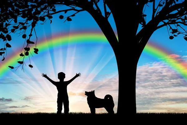 Lyckligt barn gå med hunden nära träd på bakgrund av rainbow — Stockfoto