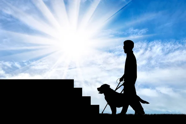 無効杖を持った視覚障害者し、犬の階段の日ガイド — ストック写真