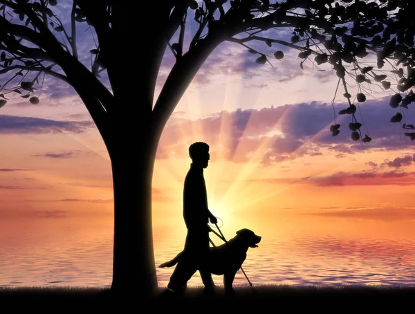 Ciego discapacitado con bastón y perro bajo el árbol cerca de la puesta del sol del mar — Foto de Stock
