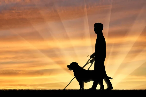 Disabled blind with cane and holding dog guide sunset — Stock Photo, Image