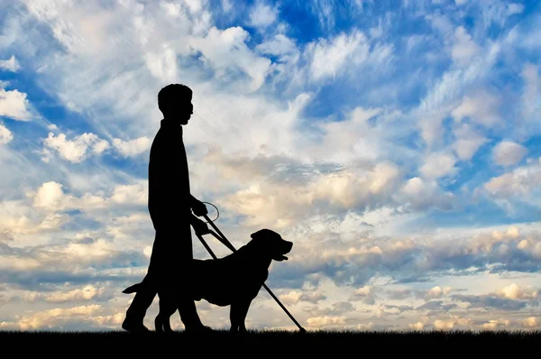 Ciego discapacitado con bastón y día de guía del perro de celebración — Foto de Stock