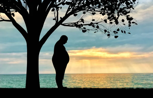 Hombre gordo bajo el árbol cerca de la puesta del sol del mar — Foto de Stock