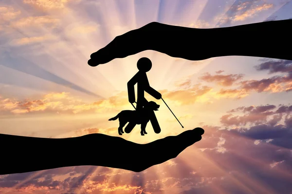 Disabled blind with stick hold guide-dog into hands sunset icon