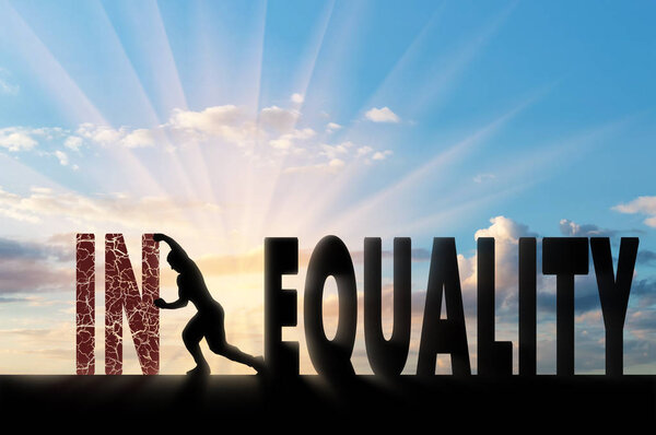 Концепция социального неравенства
