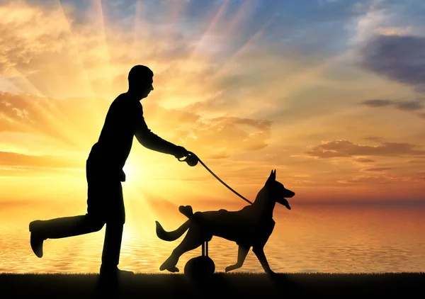 Conceito de um cão em uma cadeira de rodas desfrutando da vida — Fotografia de Stock