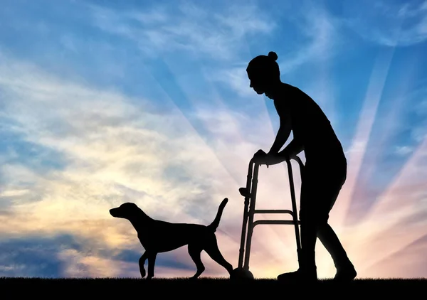 Silueta de una mujer discapacitada paseando con un perro, utiliza un andador —  Fotos de Stock