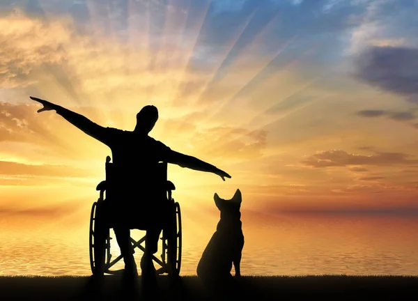일몰을 즐기는 바다에 의해 개 그의 휠체어에서 행복 한 장애인된 남자의 실루엣 — 스톡 사진