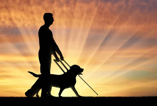 Concepto del ciego inválido y el perro guía — Foto de Stock