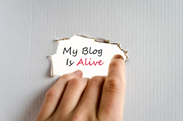 Mijn blog is levend tekst concept — Stockfoto