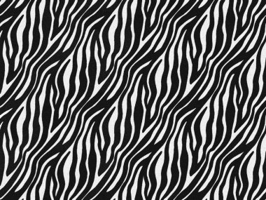 Zebra kürksüz deri deseni, halı zebra kıllı arka plan, siyah ve beyaz doku, pürüzsüz, tüylü ve yumuşak, fırça fotoşopu kullanarak grafikleri tasarlıyor. Hayvan derisi kamuflaj konsepti.