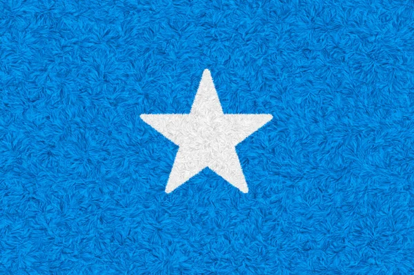 Сомали Флаг Ковер Текстурированный Мех Перо Узор Использовать Качестве Фона — стоковое фото