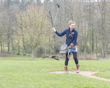 KUŞ KUŞLARI KUŞUYOR 