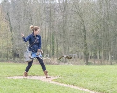 KUŞ KUŞLARI KUŞUYOR 