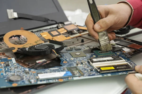 the master brushes the disassembled laptop with a brush. Computer Repair