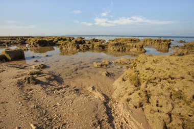 Deniz taşları Tayland