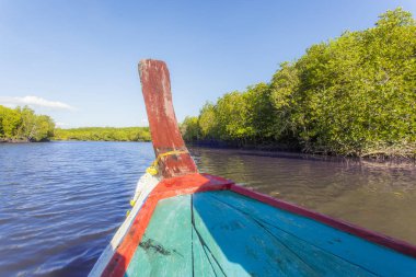 Tekne Turu mangrov orman Lanta Tayland