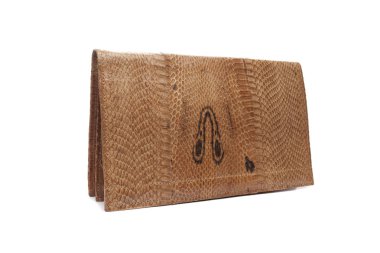 Beyaz arka plan üzerinde izole yılan deri kadın çanta