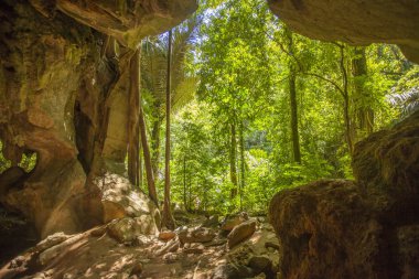 Tayland krabi lanta mağarada tropik orman