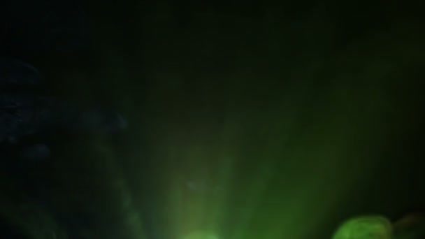 Lysende Farvede Stråler Baggrund Projektoren Tågen – Stock-video