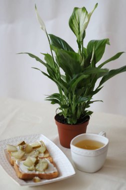 healthy Breakfast on the table , toast with cottage cheese and pears for a snack, green tea for proper nutrition, beautiful Breakfast served on a white set clipart