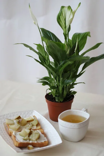 Здоровый Завтрак Столе Тосты Творогом Груши Закуску Зеленый Чай Правильного Стоковое Фото