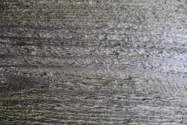 Текстура Старого Дерева Старая Серая Меланхолия Использования Качестве Фона — стоковое фото
