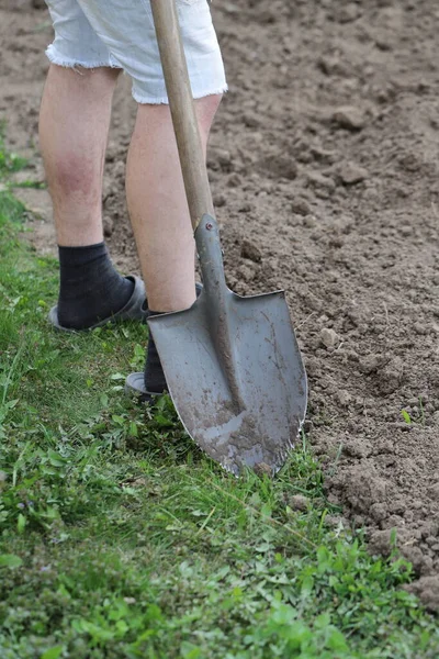 庭の季節の初めにベッドのために地面を掘り — ストック写真